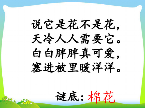 人教部编版一年级下册语文教学课件-19.《棉花姑娘》(共19张PPT)
