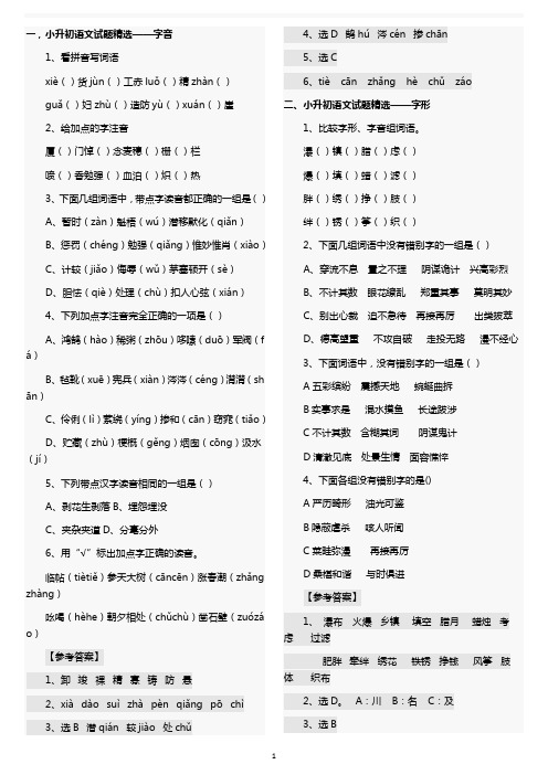 小升初语文总复习资料汇总(可打印).doc