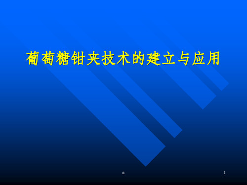 葡萄糖钳夹技术