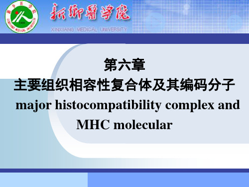 主要组织相容性复合体及其编码分子mhc ppt课件