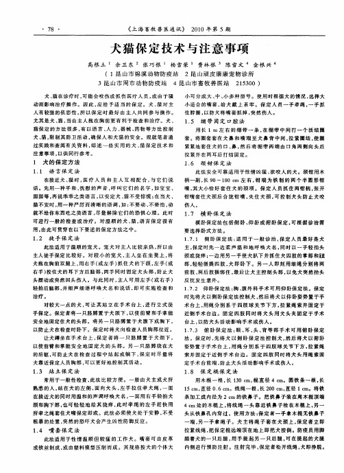 犬猫保定技术与注意事项