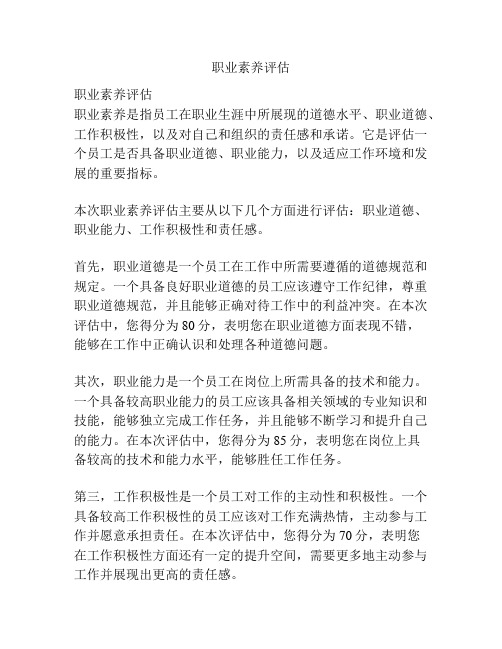 职业素养评估