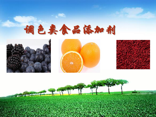 调色类食品添加剂