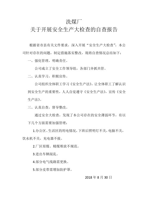 洗煤厂安全检查报告