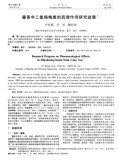 藤茶中二氢杨梅素的药理作用研究进展