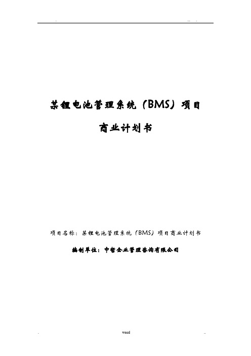 锂电池管理系统(BMS)项目商业实施计划书