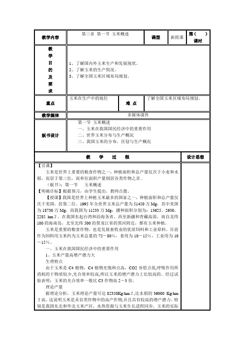 玉米概述