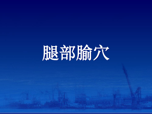 腿部腧穴