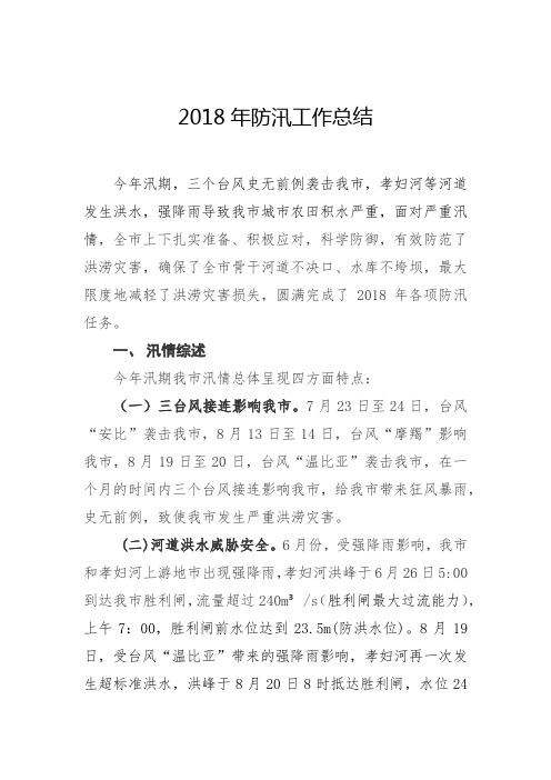 2018年防汛工作总结