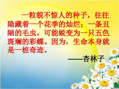 语文人教四年级下册 -生命  生命-课件