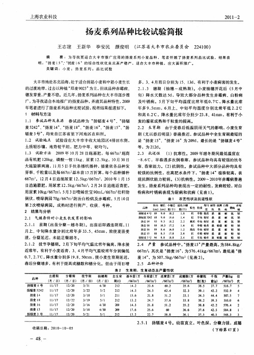 扬麦系列品种比较试验简报