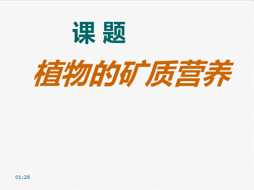 高二生物最新课件-矿质代谢人教版[整理] 推荐