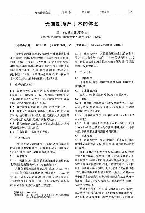 犬猫剖腹产手术的体会