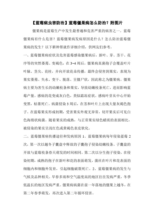 【蓝莓病虫害防治】蓝莓僵果病怎么防治？附图片