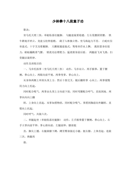 少林拳十八段童子功