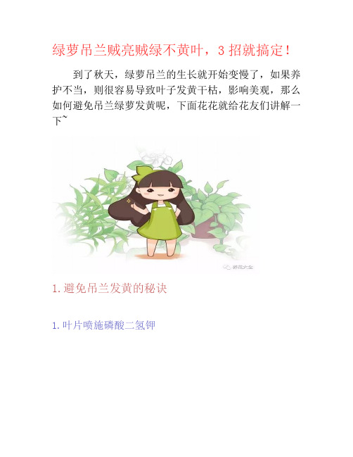 绿萝吊兰贼亮贼绿不黄叶,3招就搞定!