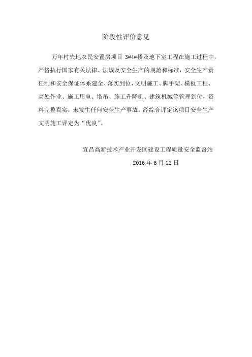 阶段性评价意见