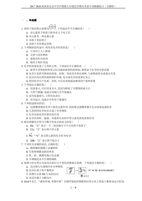 2017-2018海南省定安中学沪教版九年级化学期末考前专项精编练习(含解析)
