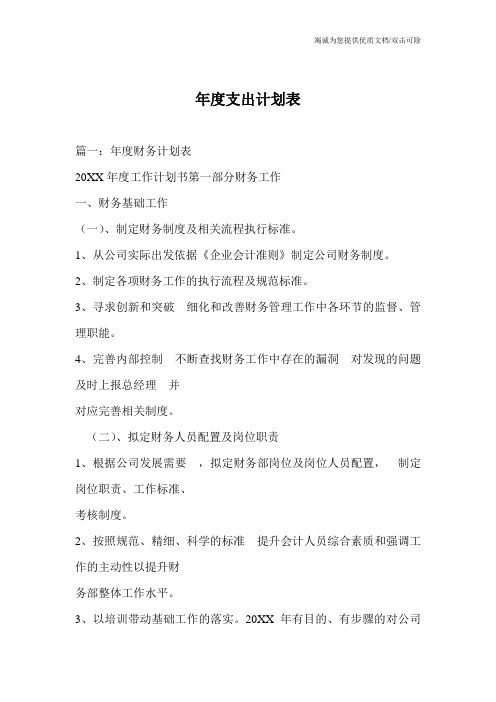 年度支出计划表