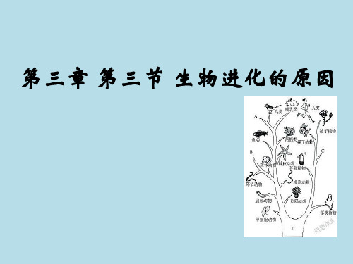 人教版生物八年级下册3.3《生物进化的原因》课件 (共39张PPT)