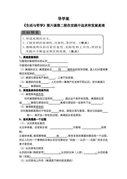 在实践中追求和发展真理  导学案