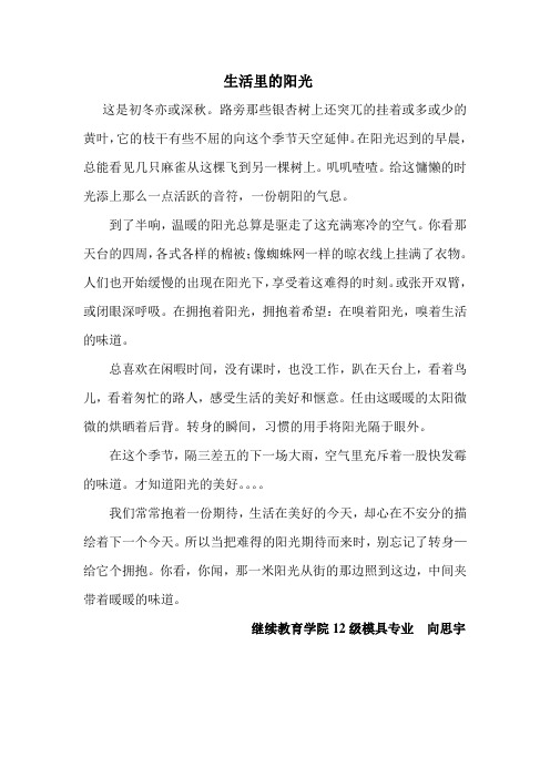 生活里的阳光