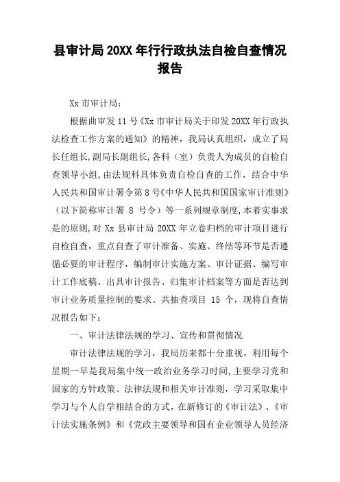 县审计局20XX年行行政执法自检自查情况报告