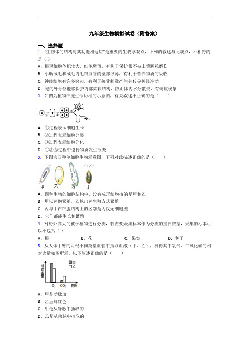 九年级生物模拟试卷(附答案)