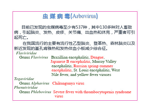 虫媒病毒和出血热病毒 微生物研究