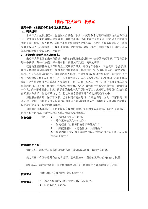 初中政治《筑起“防火墙”》教学案