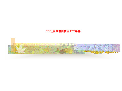 CCC_内审培训教程 PPT课件