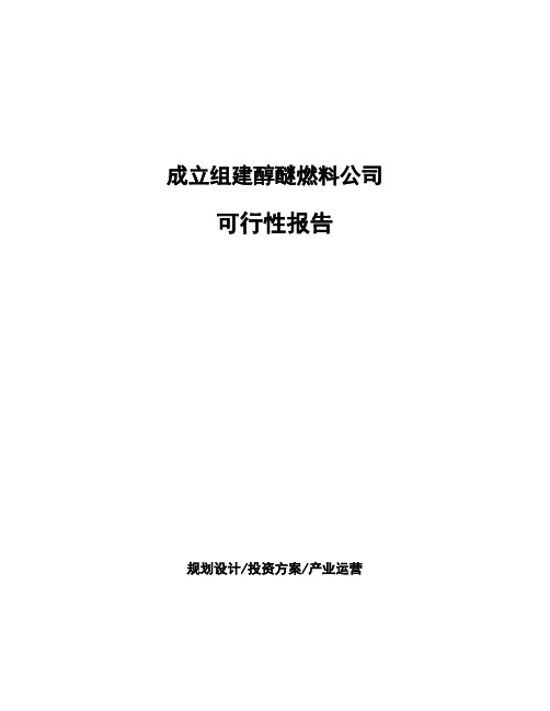 成立组建醇醚燃料公司可行性报告