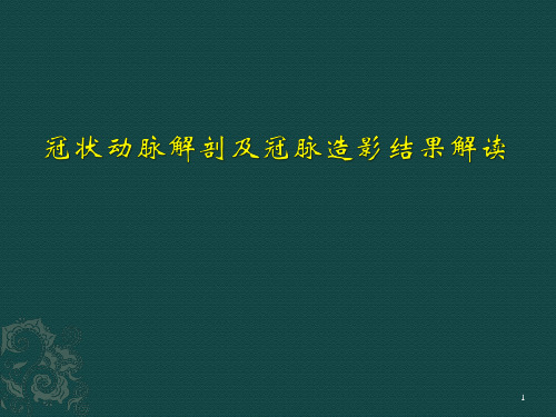 冠状动脉解剖及冠脉造影结果解读