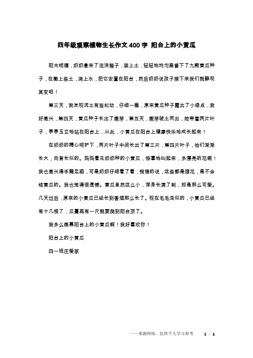 四年级观察植物生长作文400字 阳台上的小黄瓜