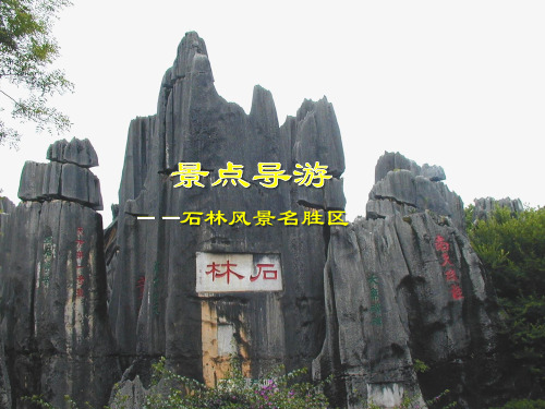 景点导游——石林风景名胜区