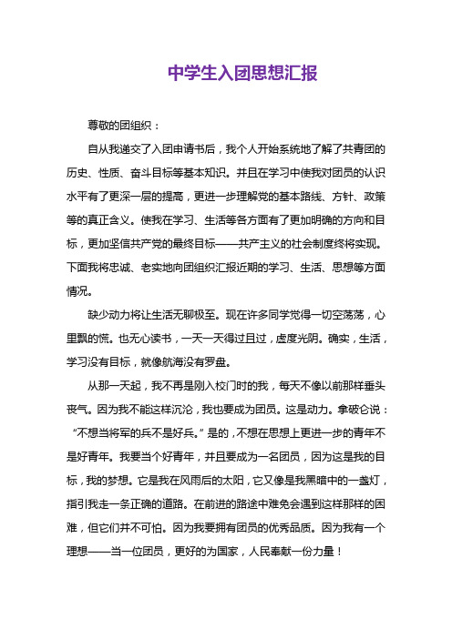 中学生入团思想汇报范文WORD模板