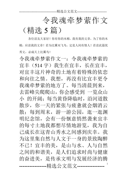 令我魂牵梦萦作文(精选5篇)