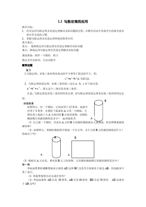 北师大版八年级上册数学   1.3 勾股定理的应用教案精选教案2
