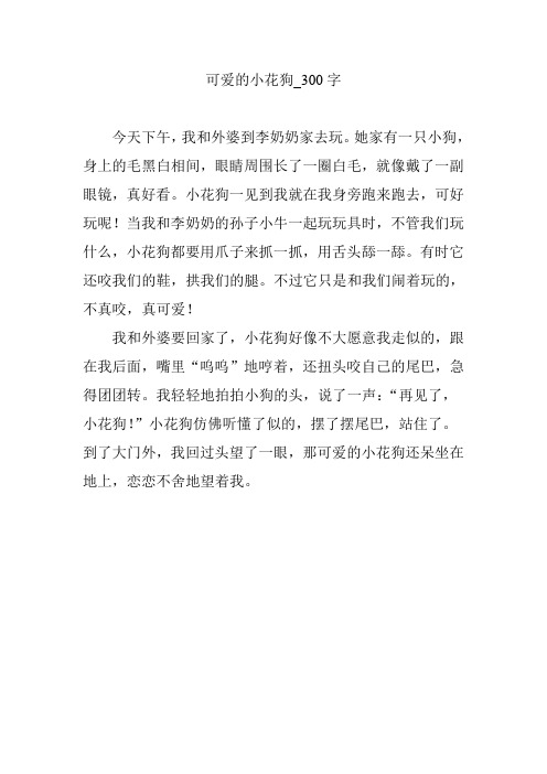 可爱的小花狗_300字
