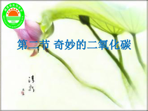 沪教版九年级化学全册(全国版)2.2《奇妙的二氧化碳》课件(共36张PPT)