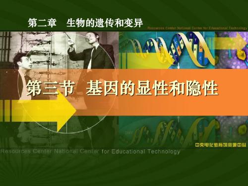 基因的显性和隐性生物的遗传和变异 优秀ppt课件