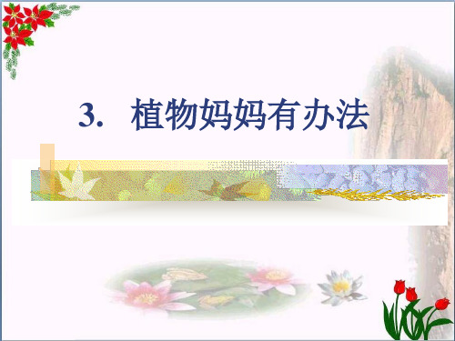  植物妈妈有办法 人教(部编版) 优秀课件