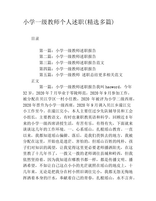 小学一级教师个人述职(精选多篇)
