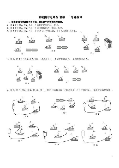 实物图与电路图转换   专题训练