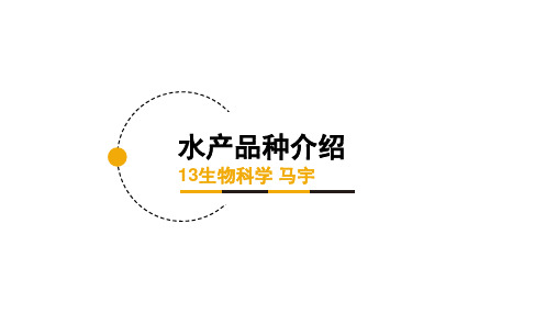 水产品种介绍