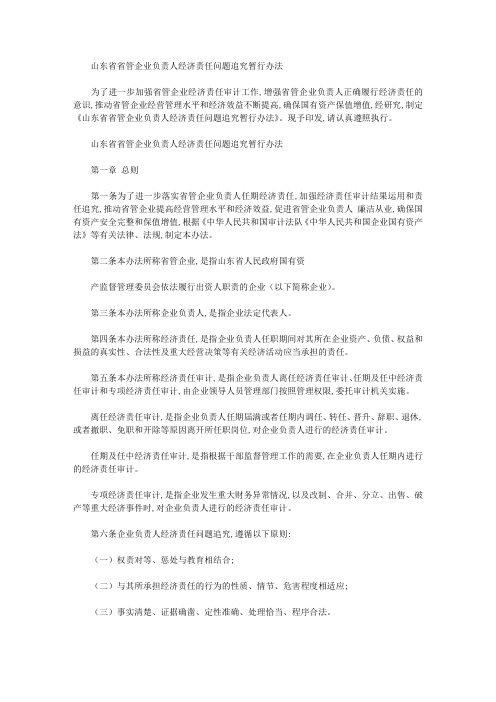山东省省管企业负责人经济责任问题追究暂行办法
