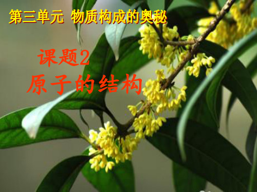 原子的结构第一课时.PPT课件