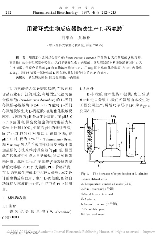 用循环式生物反应器酶法生产L_丙氨酸