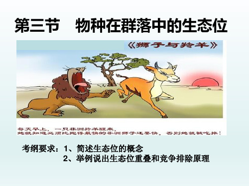 物种在群落中的生态位课件
