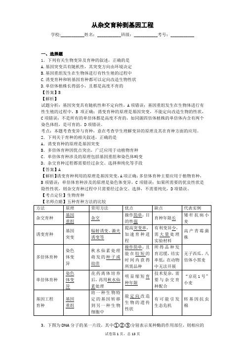 人教版 从杂交育种到基因工程 单元测试 (6)